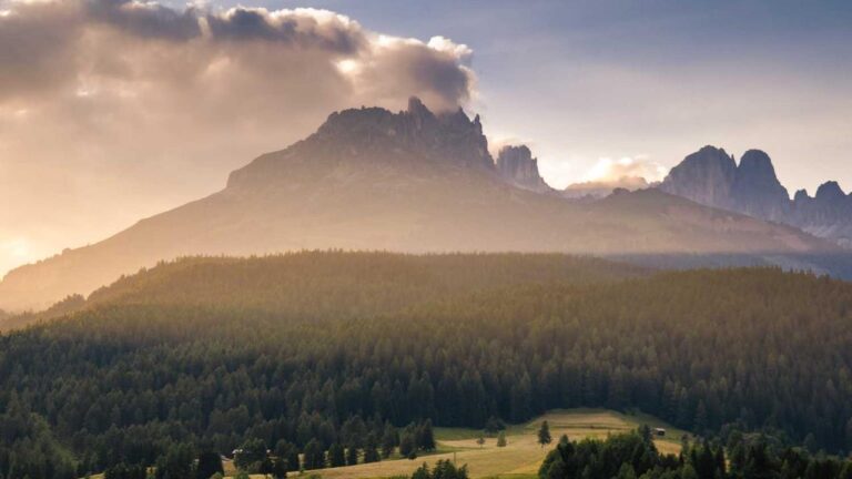 What New Features Are Included In 11Xplay Pro Download Apk Latest Version?